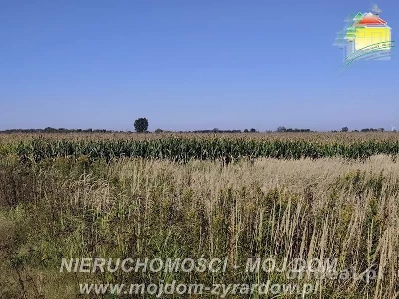Photo 1: Plot, 22011 m², Kamionka