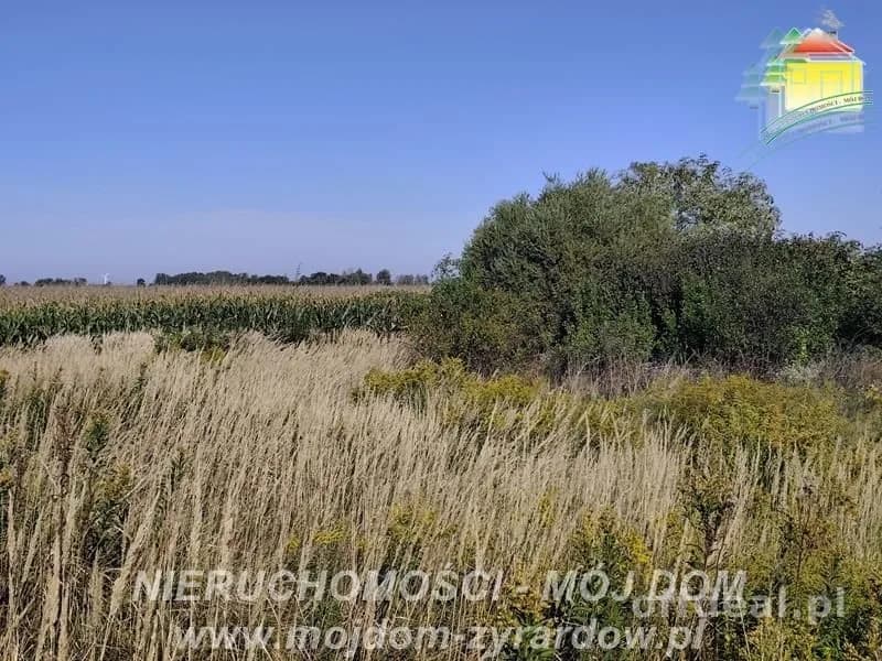 Photo 3: Plot, 22011 m², Kamionka