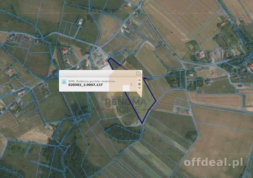 plot for sale in Myślinów | 27,000 m²