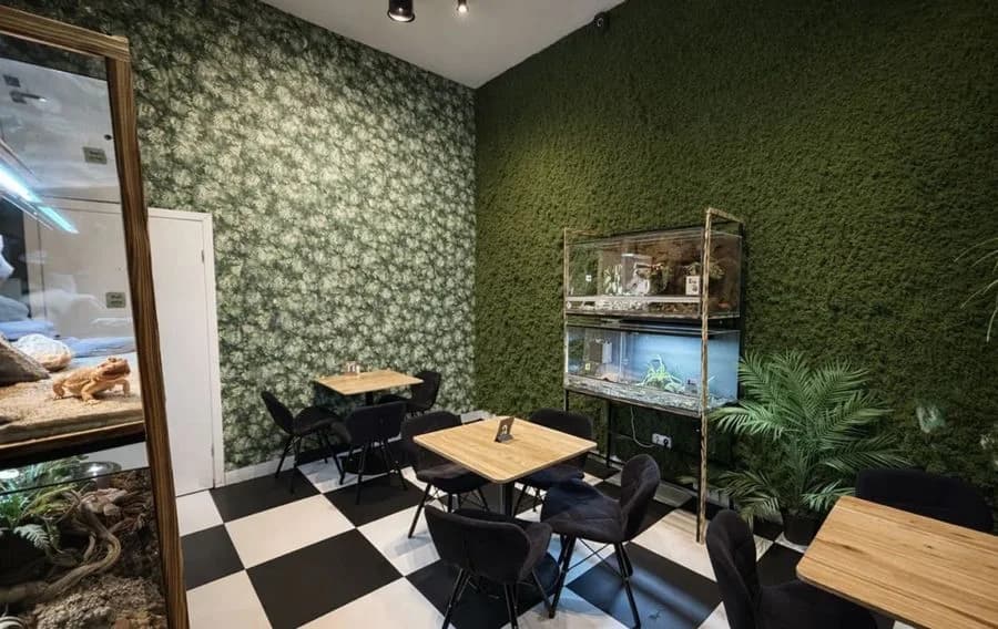 Odstępne - kawiarnia ze zwierzętami w centrum.