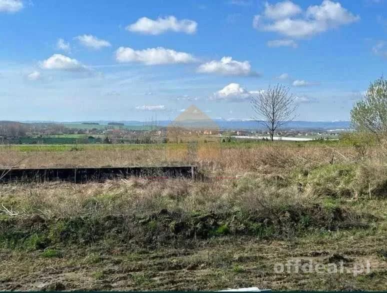 Bliźniak lewy w Ziemnicach z widokiem na Śnieżkę.