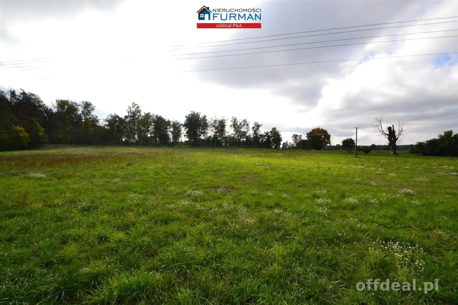 terrain à louer à Stobno | 3 000 m²