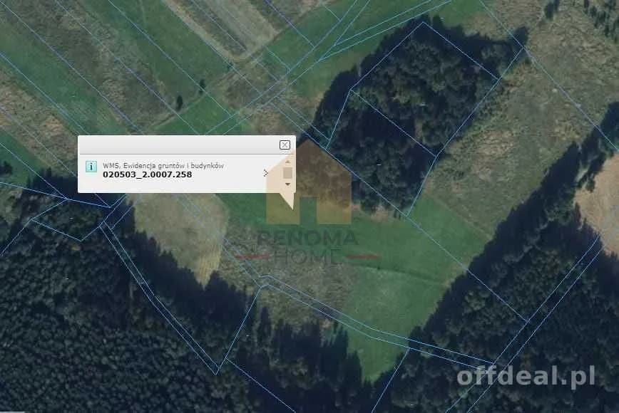 plot for sale in Myślinów | 3,001 m²