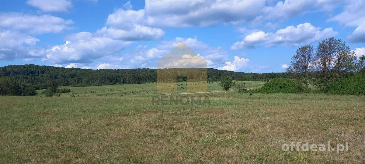 plot for sale in Myślinów | 3,001 m²