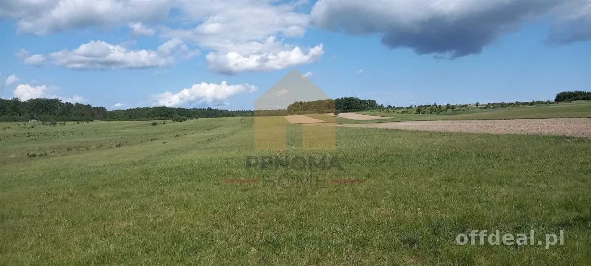 plot for sale in Myślinów | 3,001 m²