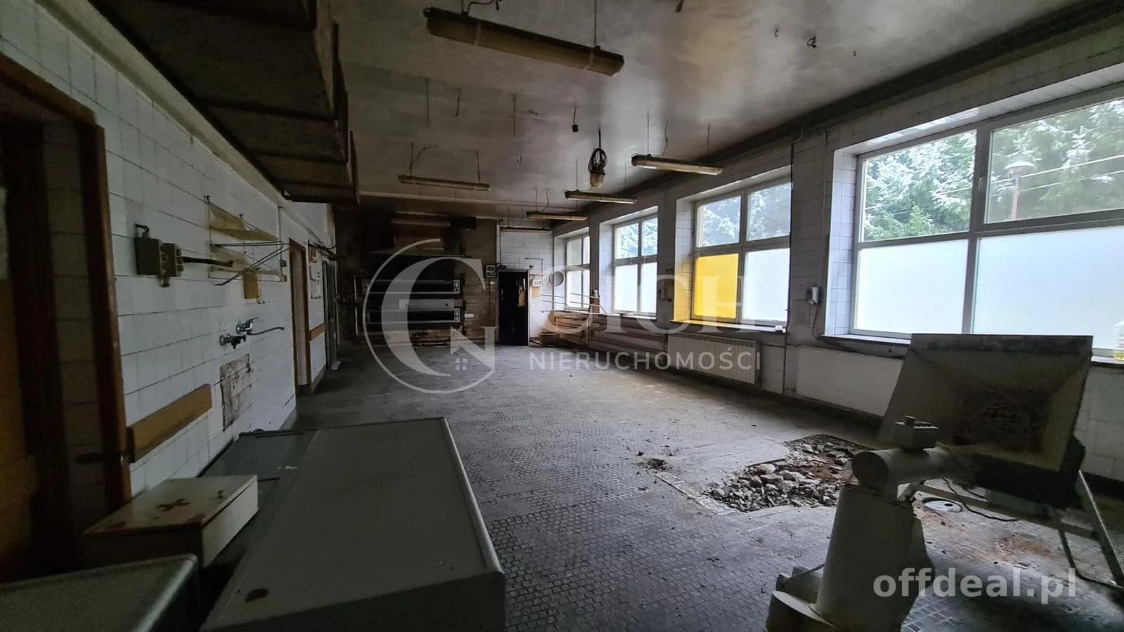 комерційна нерухомість в оренду у Chojnik | 262,5 m²