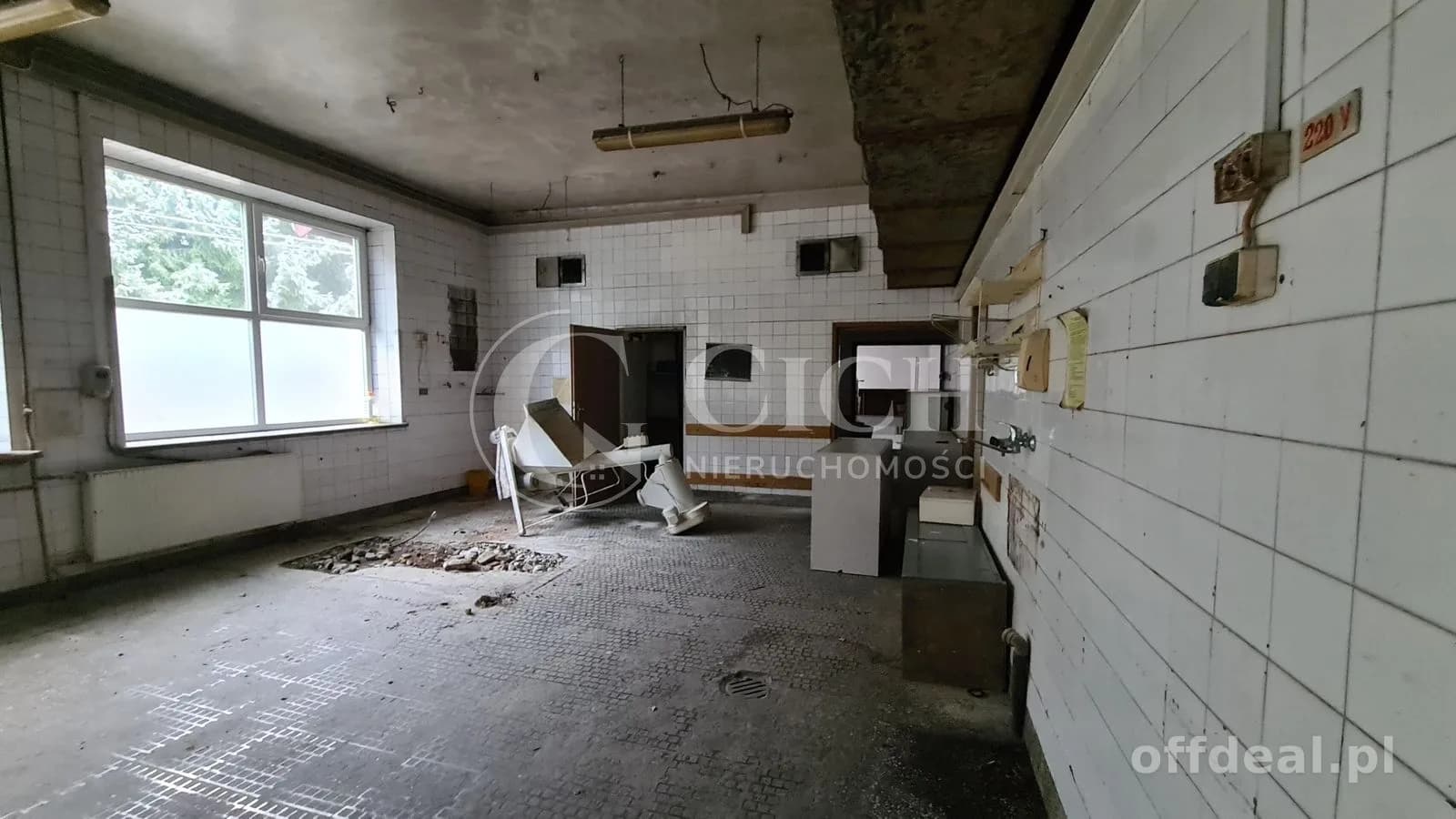комерційна нерухомість в оренду у Chojnik | 262,5 m²