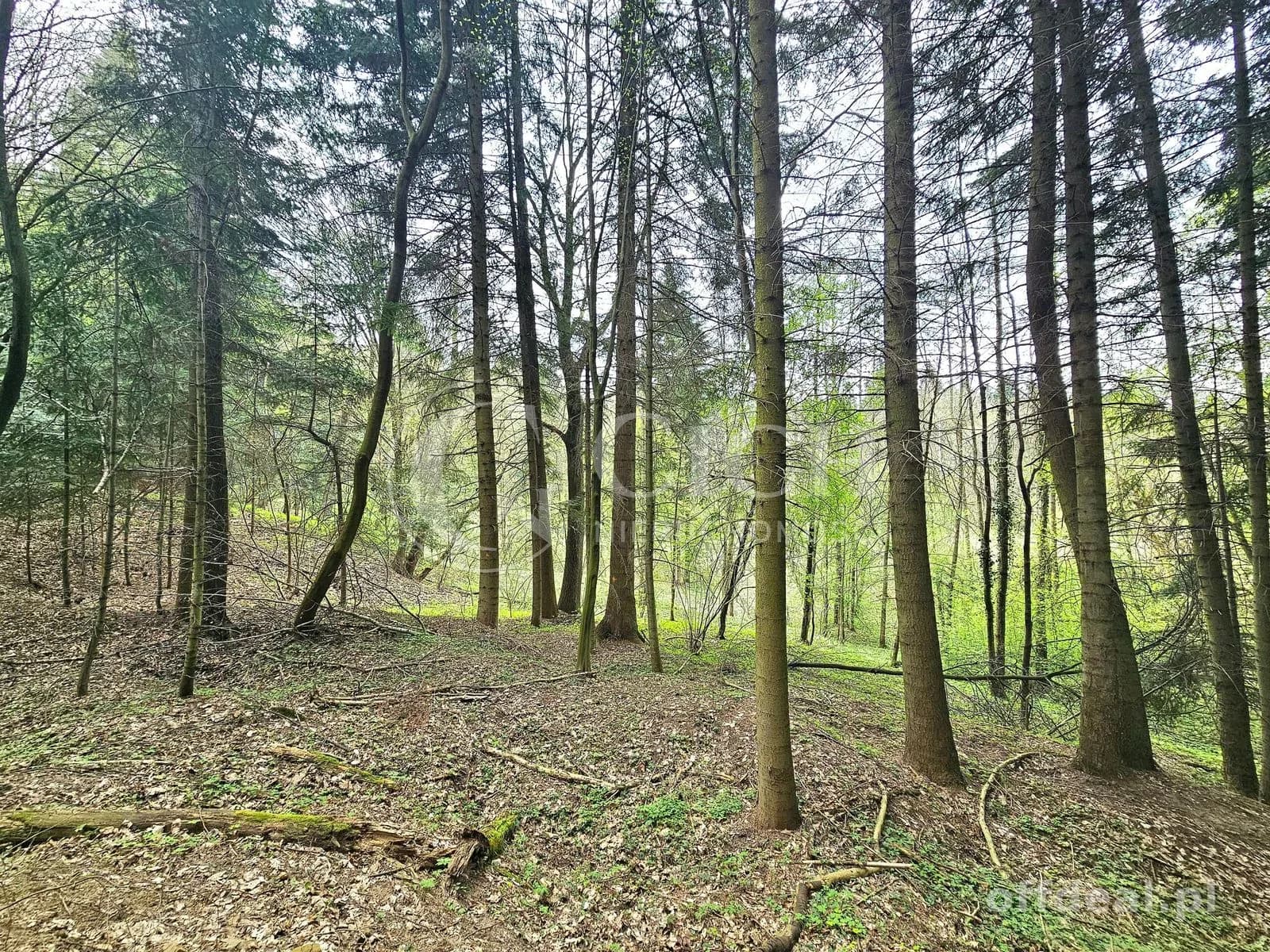 Twoja własna część natury. Majątek, którego nie da się dodrukować.