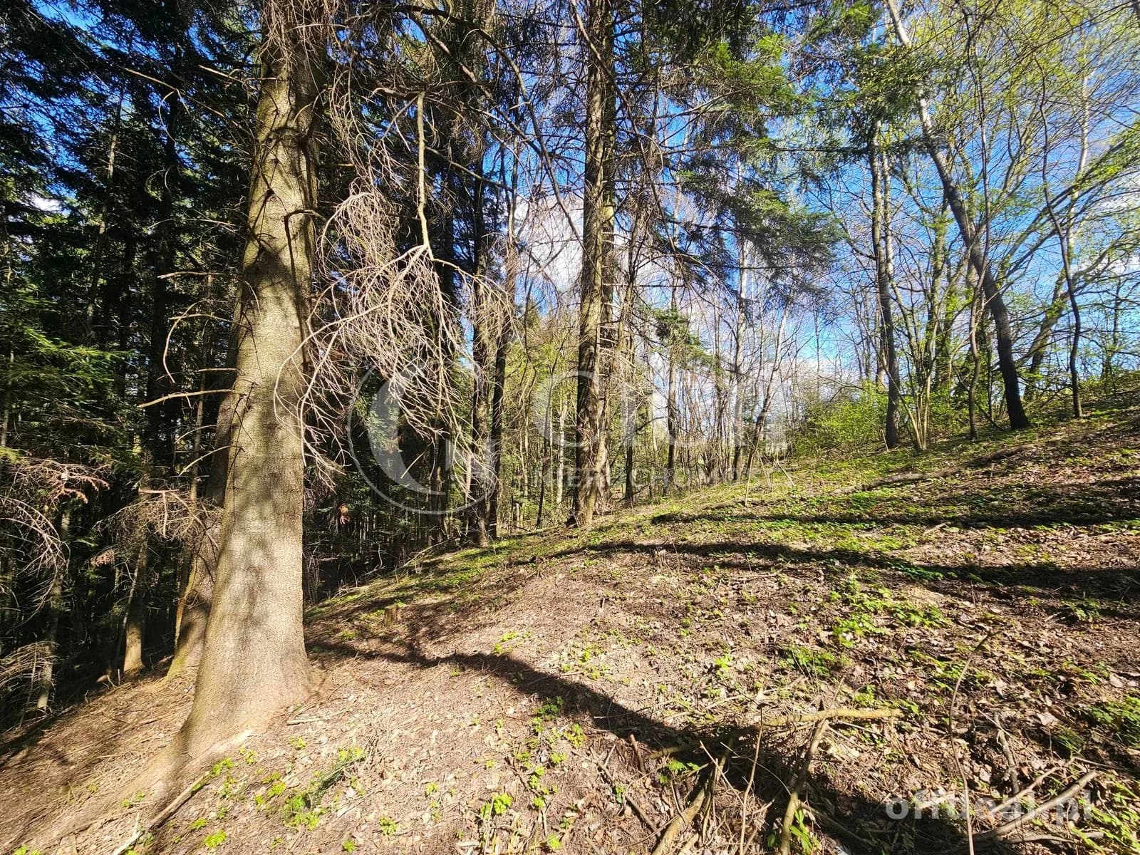 plot for sale in Ostrusza | 8,100 m²