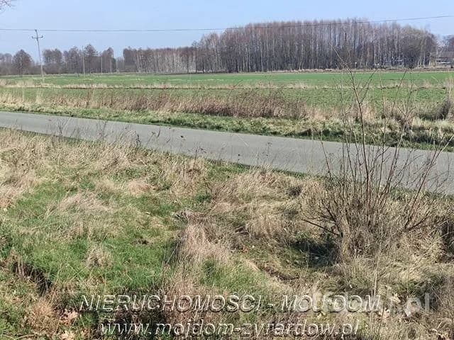 Działka w atrakcyjnej cenie. Studzieniec.