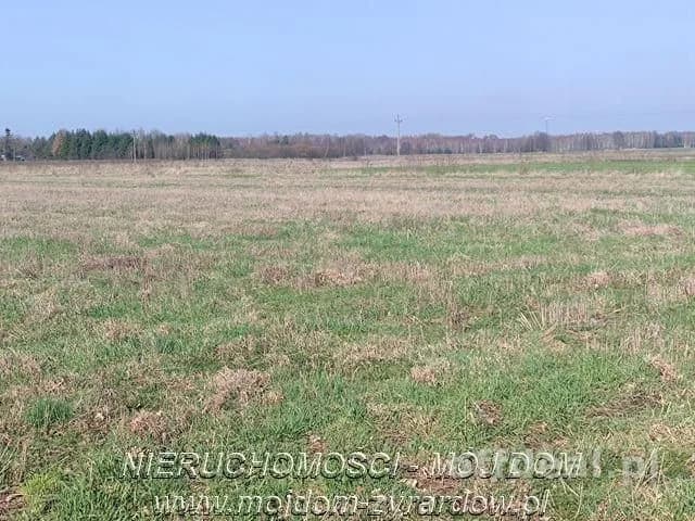 Działka w atrakcyjnej cenie. Studzieniec.