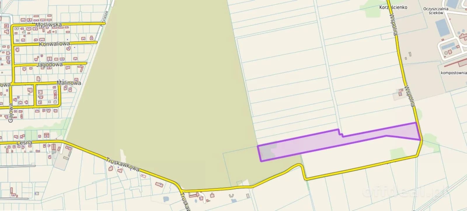 ділянка на продаж у Korzystno | 38 182 m²