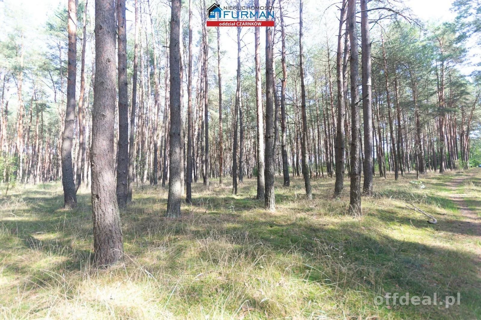 Zdjęcie 11: Działka, 19200 m², Rosko