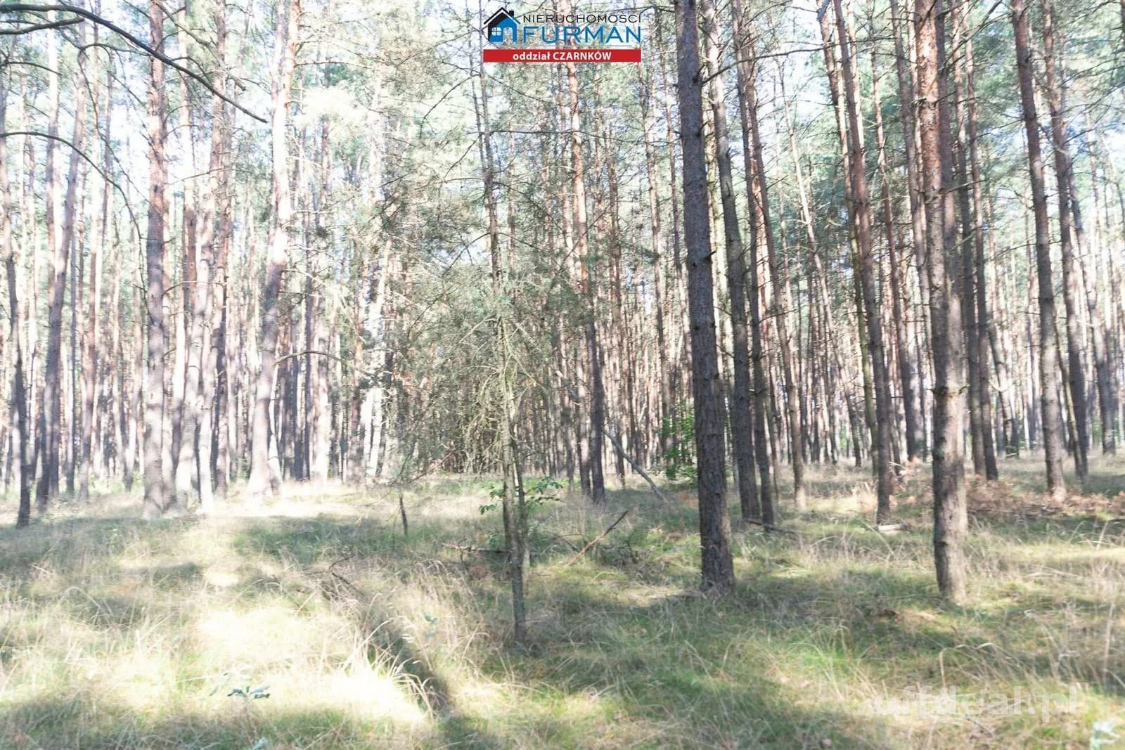 Zdjęcie 10: Działka, 19200 m², Rosko