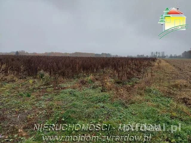 Polecamy działki w Miedniewicach