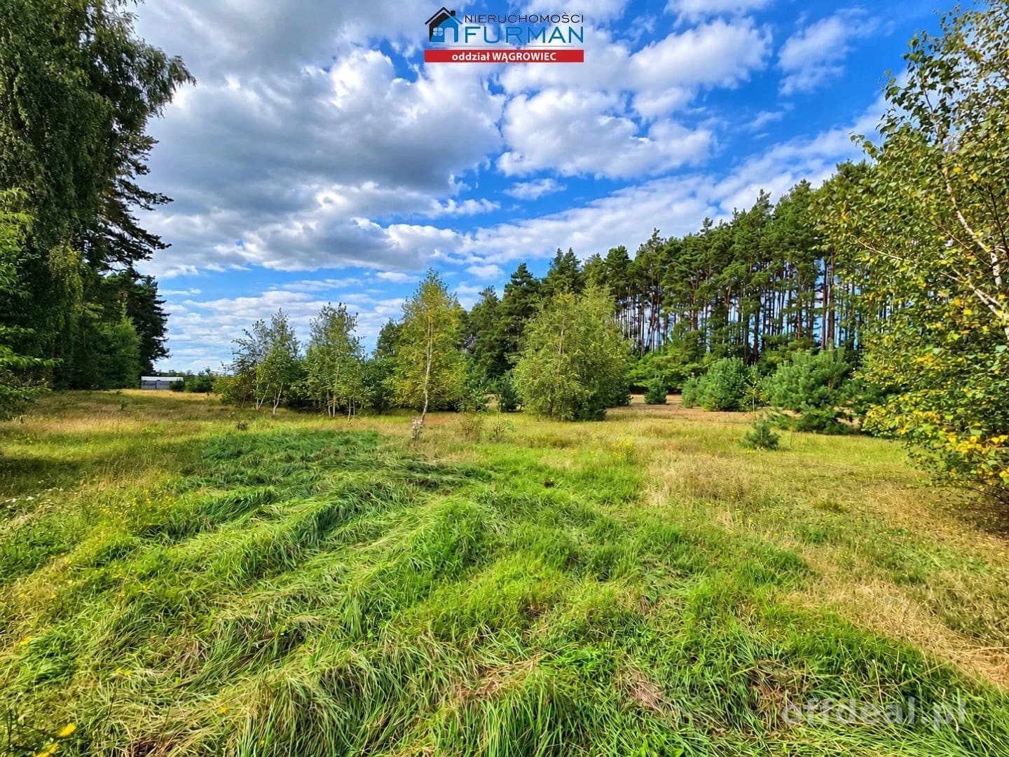 Zdjęcie 2: Działka, 11100 m², Lechlin