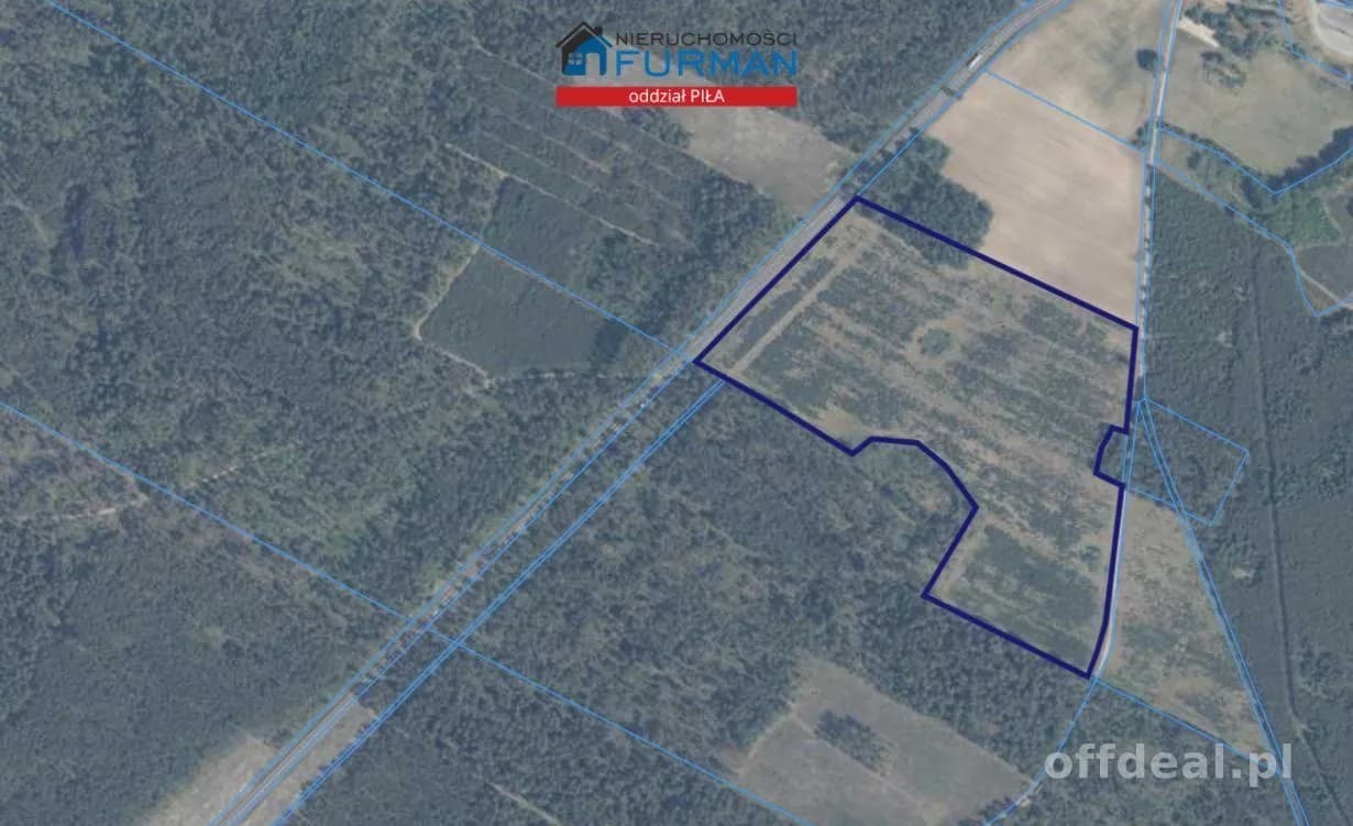 terrain à vendre à Łowicz Wałecki | 94 720 m²