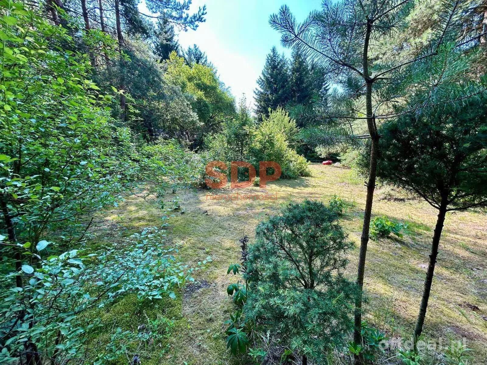 Radachówka | Działka rekreacyjna 961 m² | Las, rzeka, cisza | 30 min od Warszawy