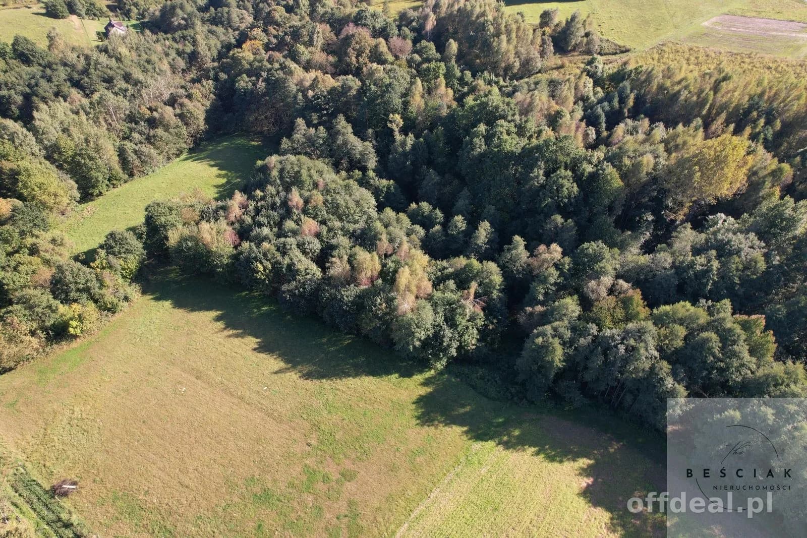 terrain à vendre à Wola Lubecka | 16 700 m²