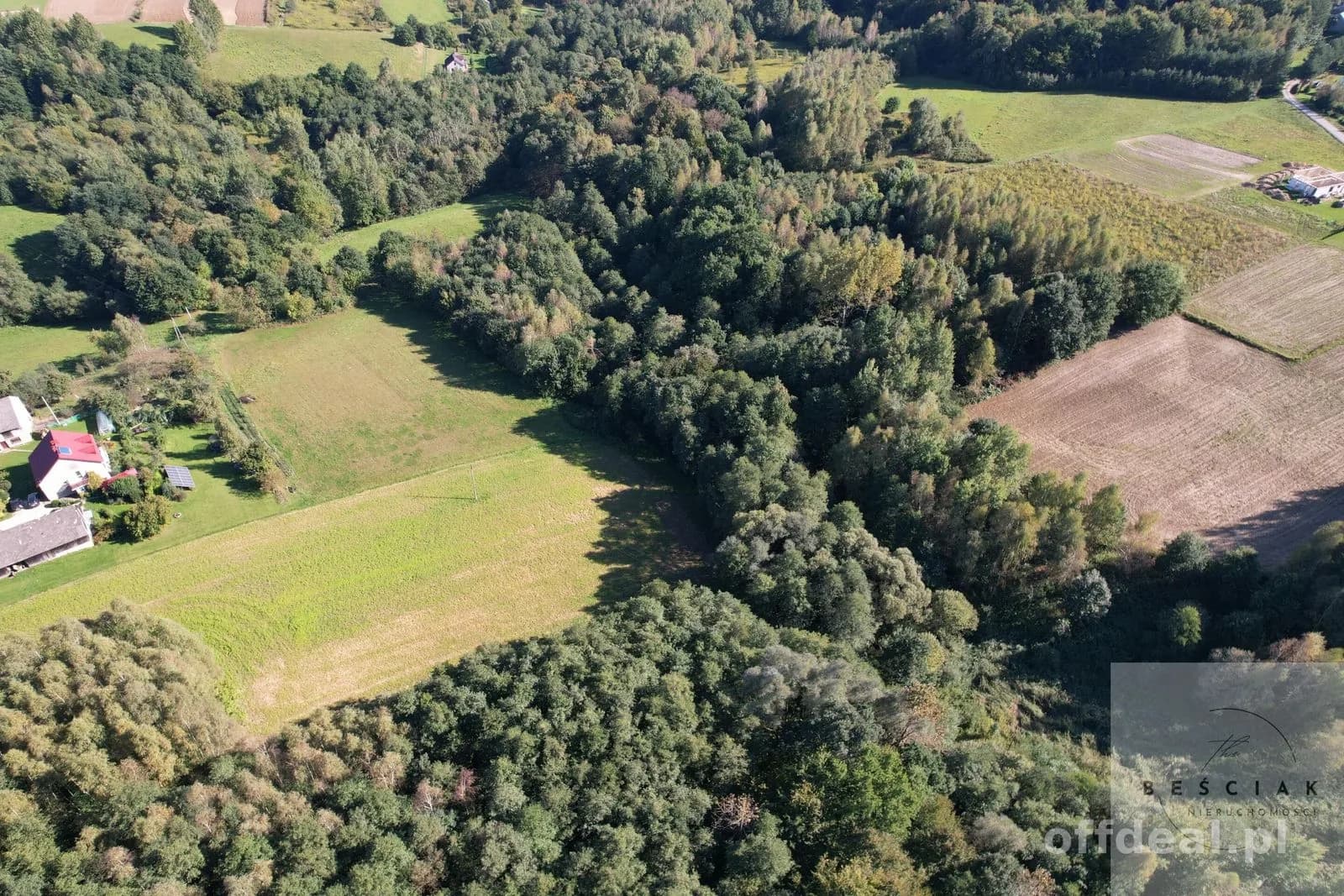 terrain à vendre à Wola Lubecka | 16 700 m²