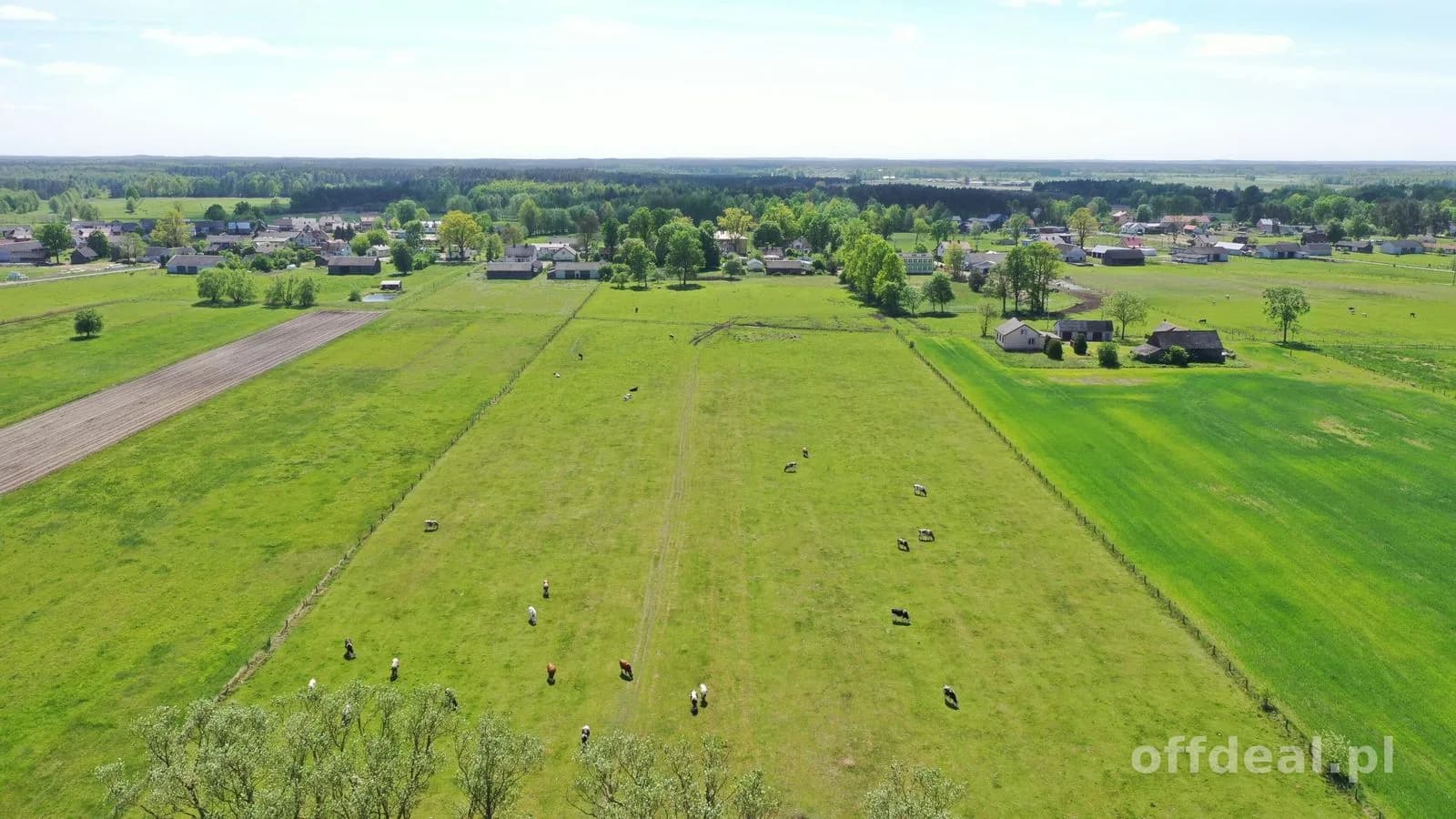 Siedlisko i tereny rolno-leśne