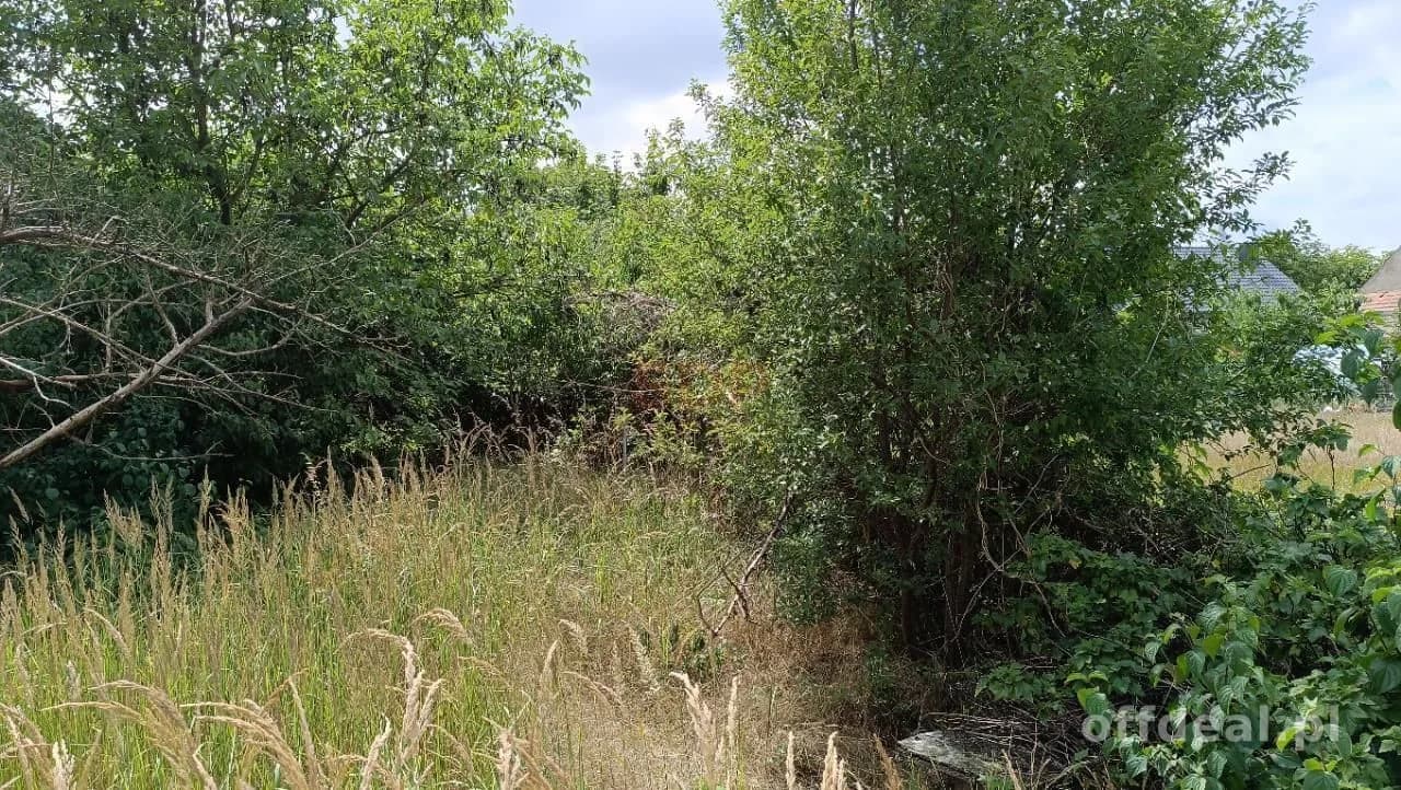 plot for sale in Kotowice | 1,600 m²