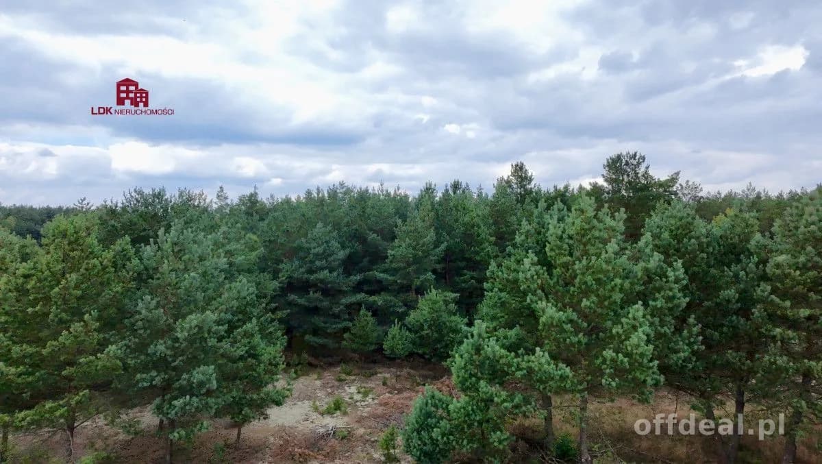 DZIAŁKA BUDOWLANA NA WDZYDZACH