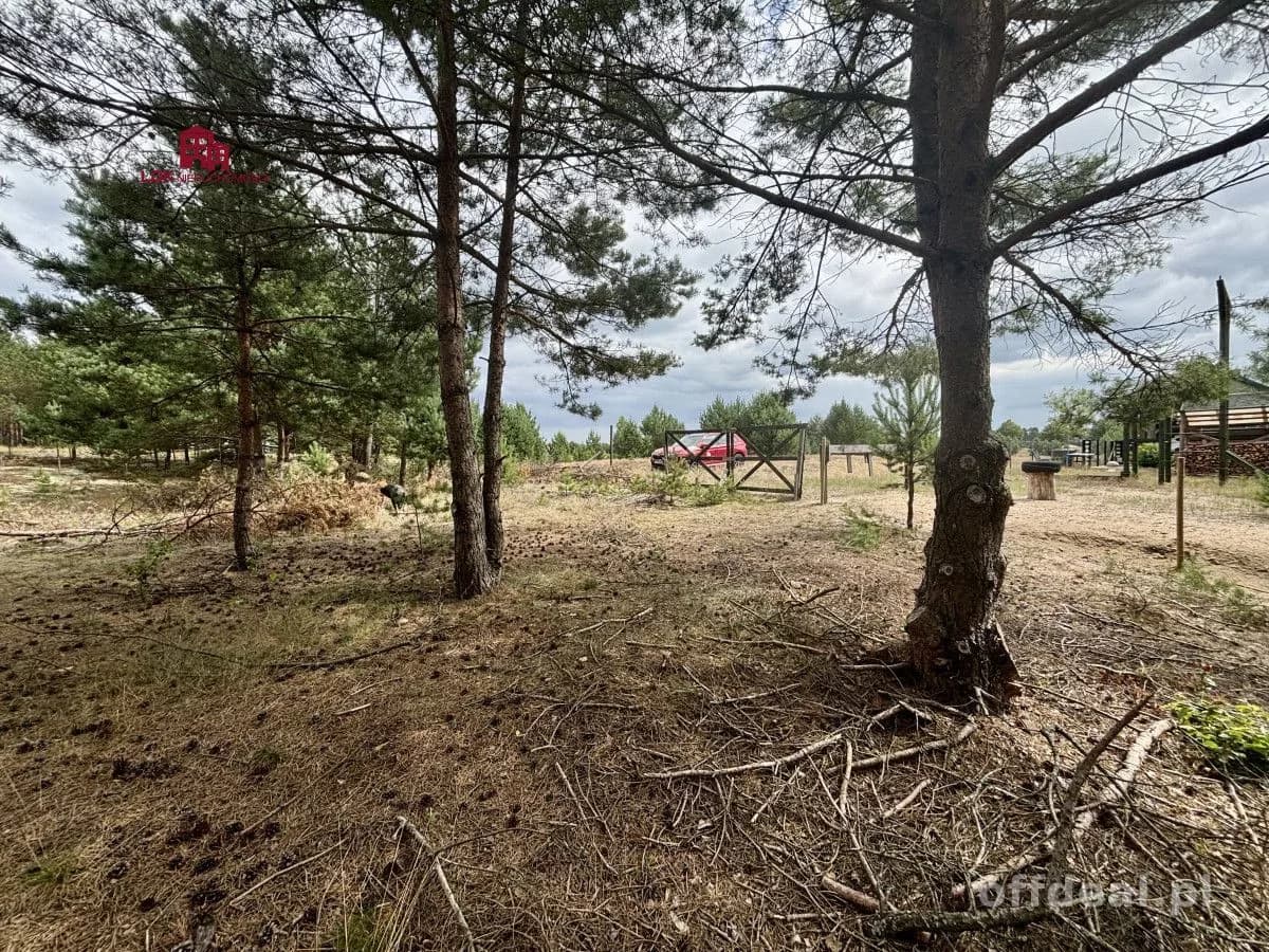 Grundstück zum Verkauf in Wdzydze Tucholskie | 5.093 m²
