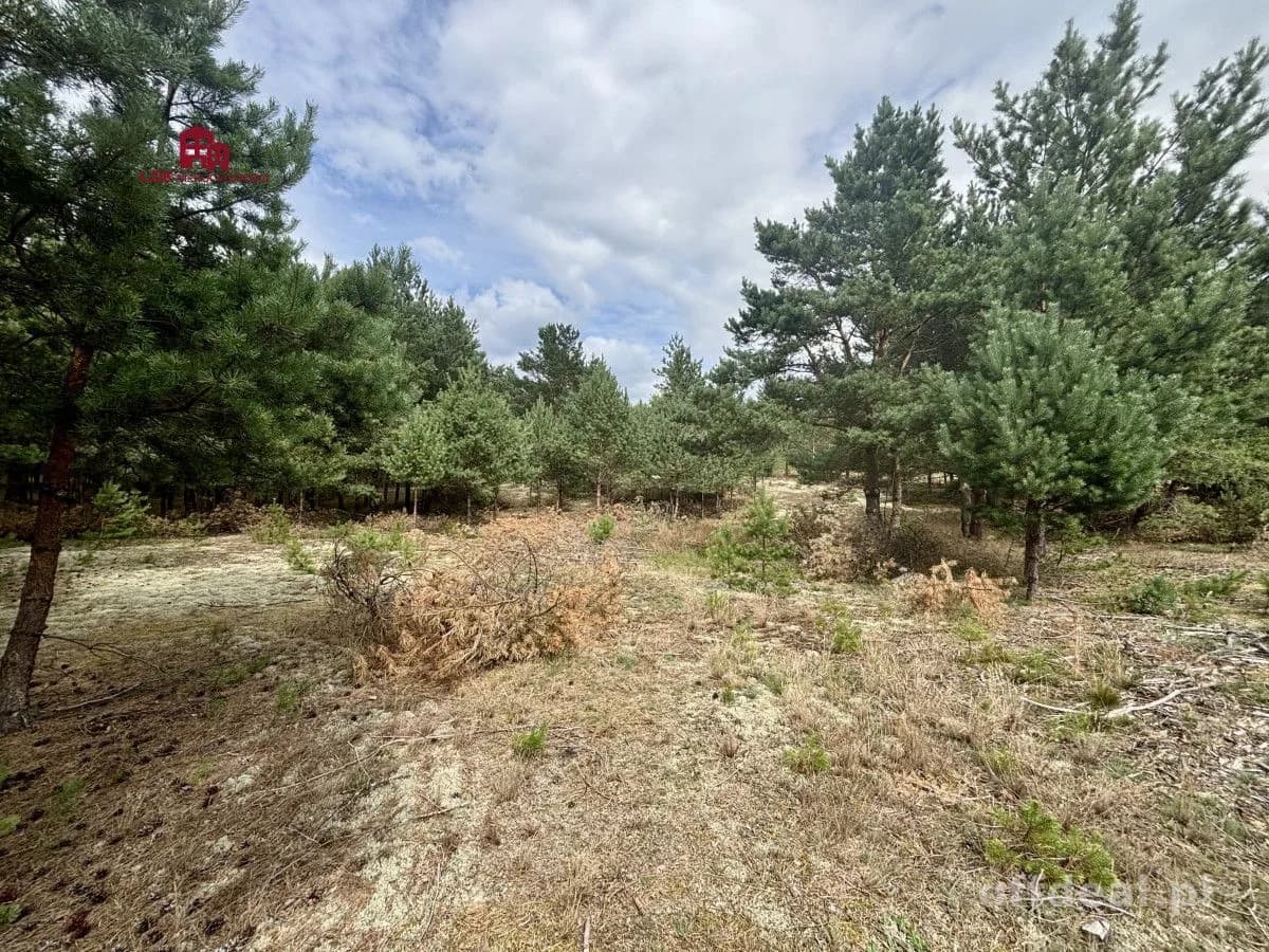 Grundstück zum Verkauf in Wdzydze Tucholskie | 5.093 m²