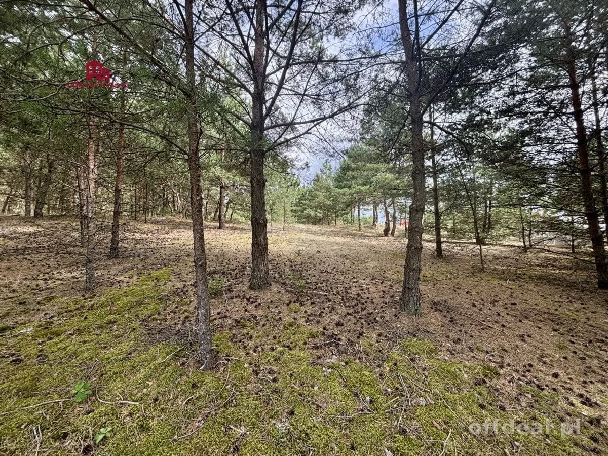 DZIAŁKA BUDOWLANA NA WDZYDZACH