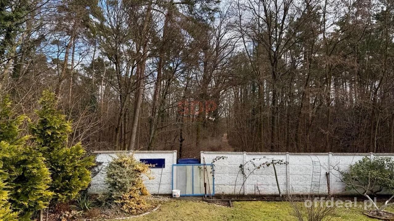 Dom jednorodzinny tuż przy lesie