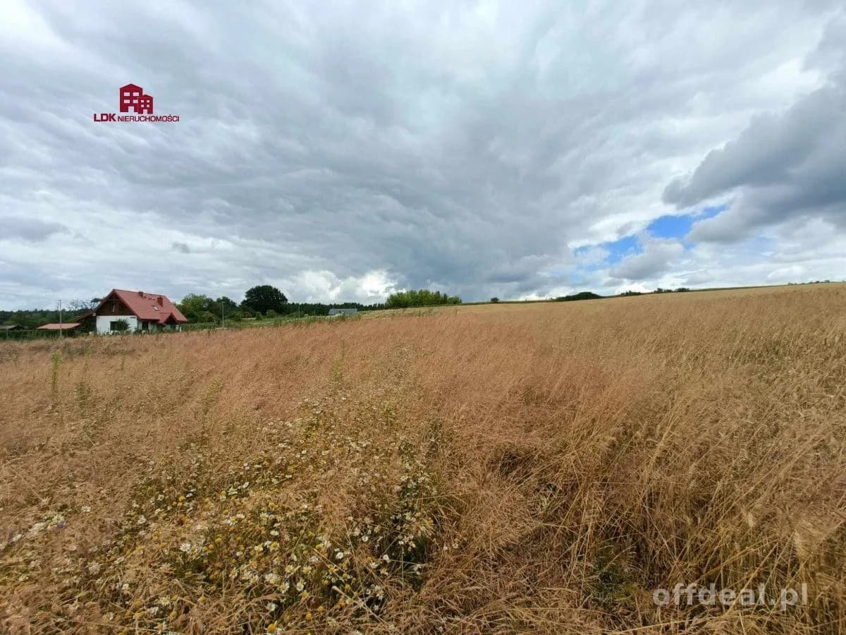 Unikalna działka 4,7 ha | MPZP – zabudowa MN