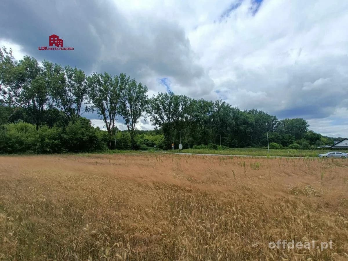 Unikalna działka 4,7 ha | MPZP – zabudowa MN