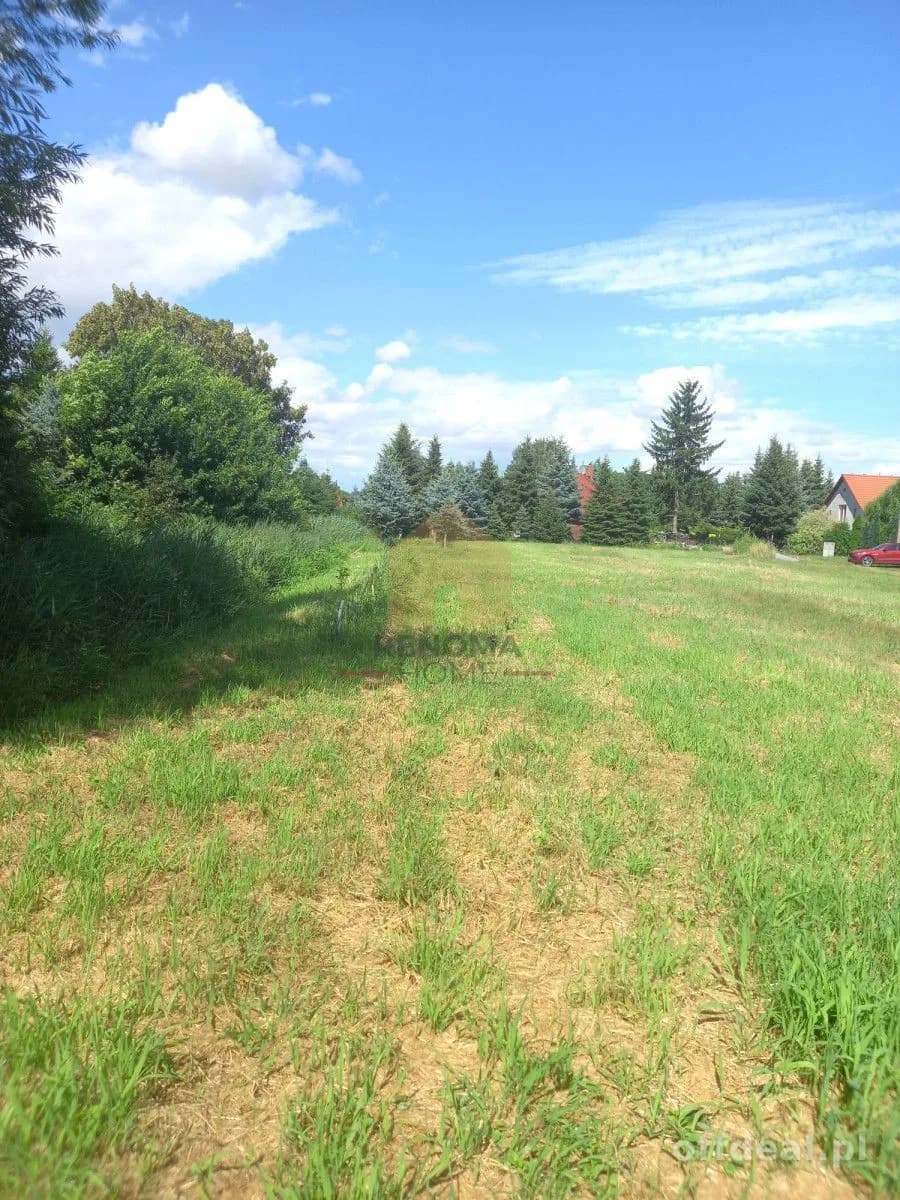 Duża działka budowlana dla Inwestora Mrowiny