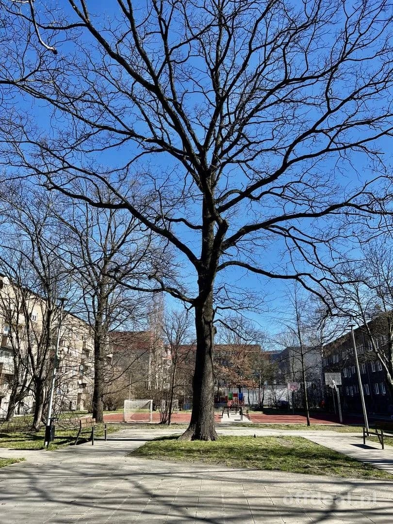 Krzywoustego | 3 pokoje | rozkładowe | słoneczne