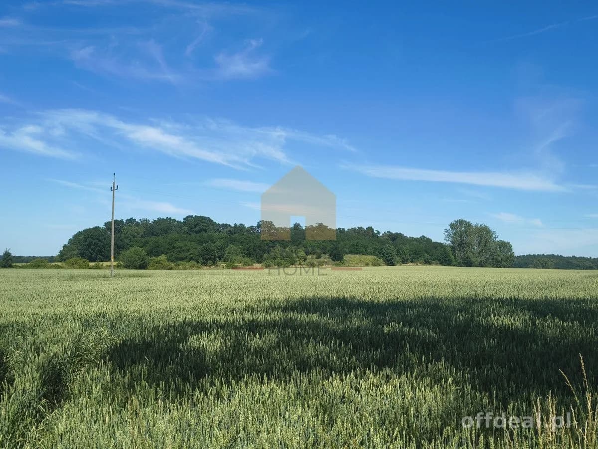 Działka w atrakcyjnej lokalizacji-teren leśny