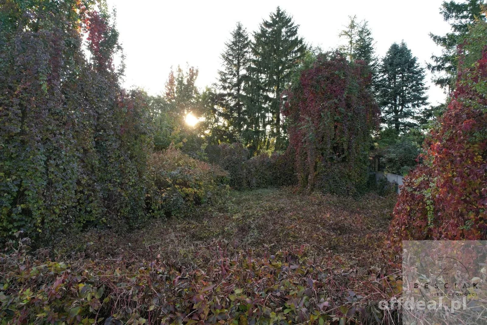 plot for sale in Tarnów | 900 m²
