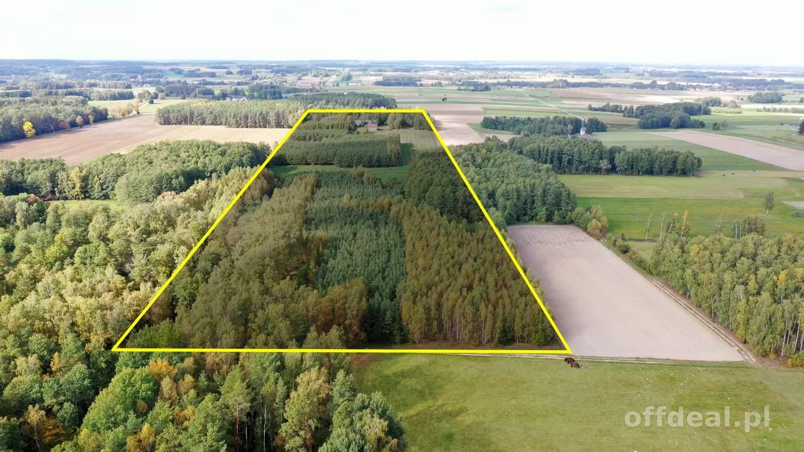 Zdjęcie 7: Dom, 6 pokoje, 200 m², Kubra-Przebudówka