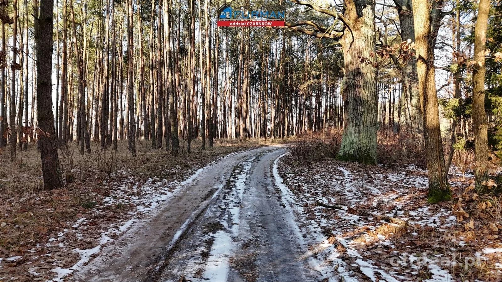 Działka na sprzedaż, Lubcz Wielki
