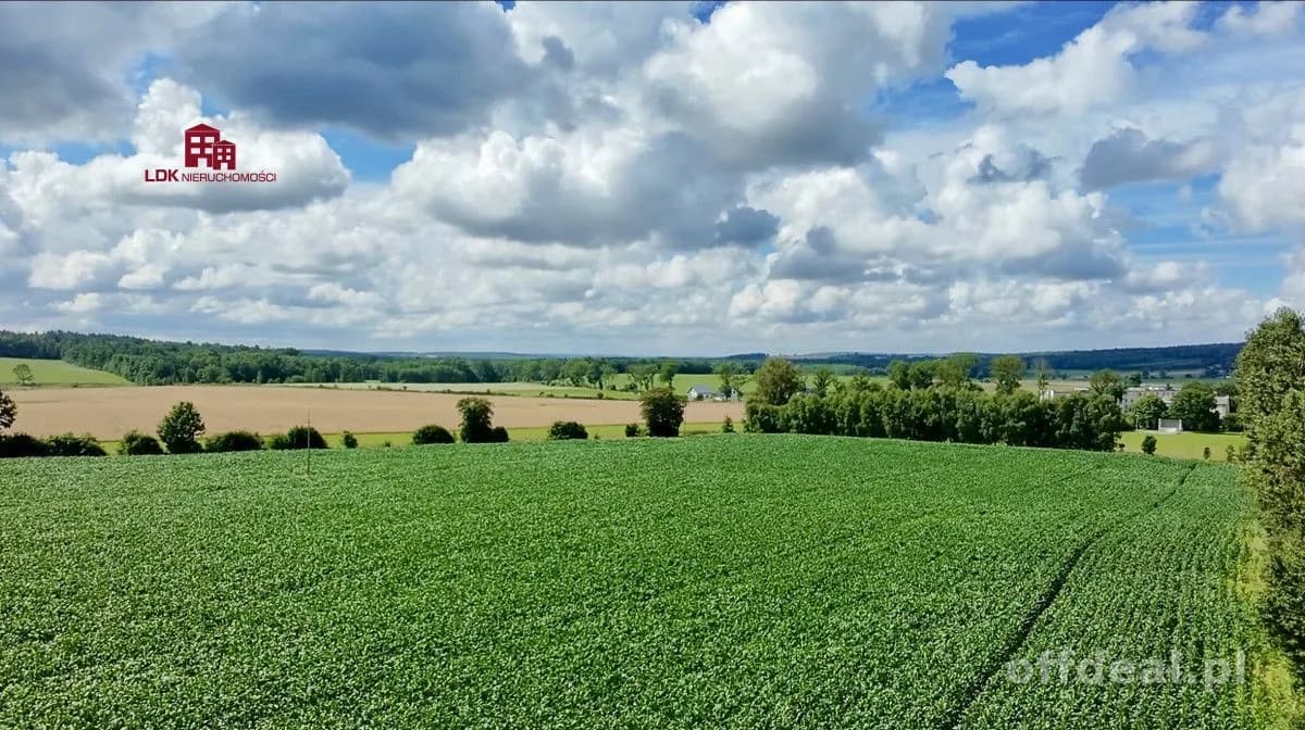 plot for sale in Łęczyce | 1,150 m²