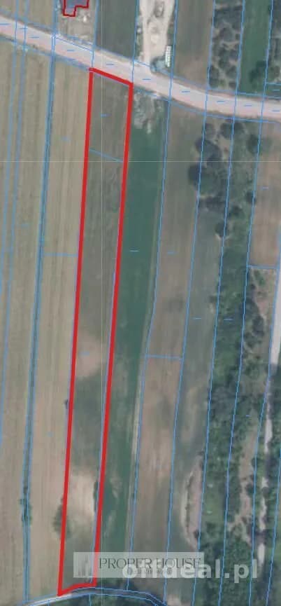 Foto 2: Grundstück, 6700 m², Nałęczów