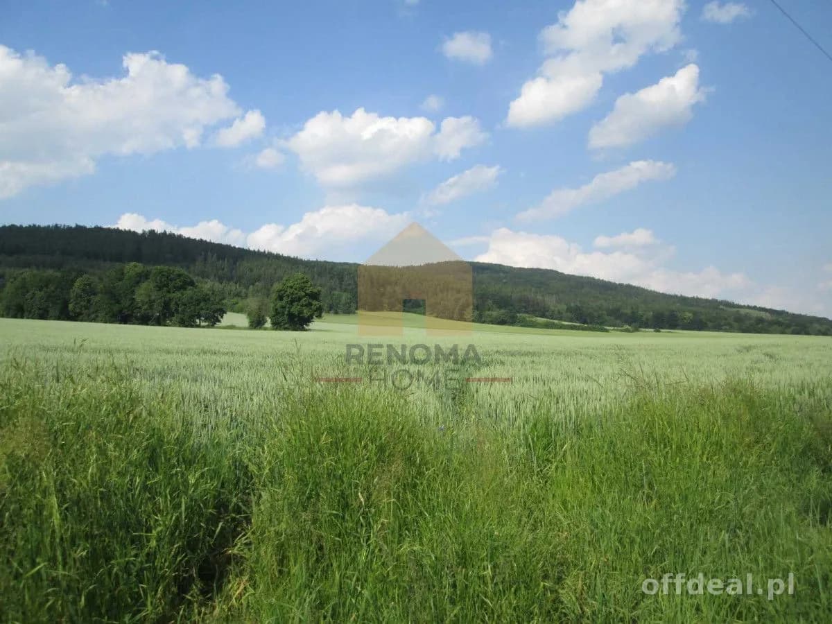 terrain à vendre à Dzierżoniów | 4 700 m²