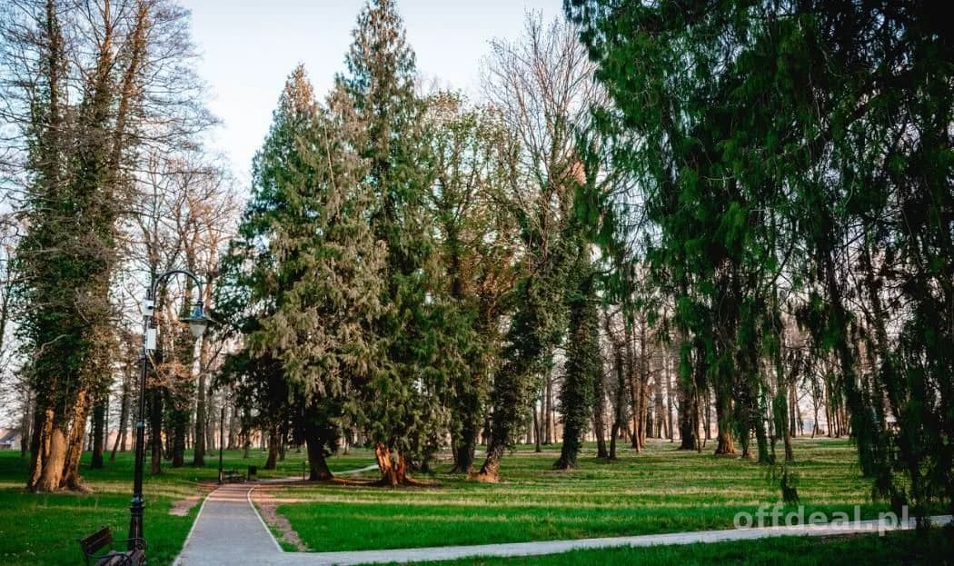ділянка на продаж у Radwanice | 10 000 m²