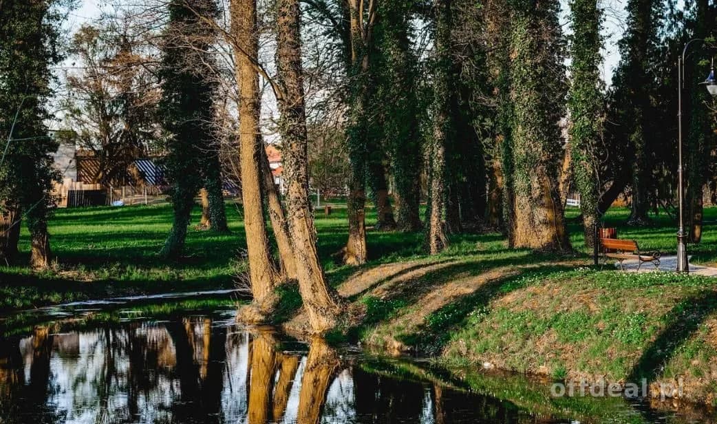 ділянка на продаж у Radwanice | 10 000 m²