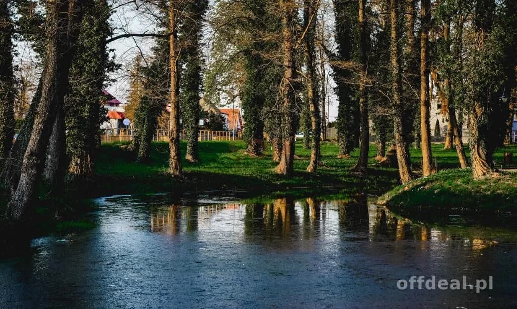 ділянка на продаж у Radwanice | 10 000 m²