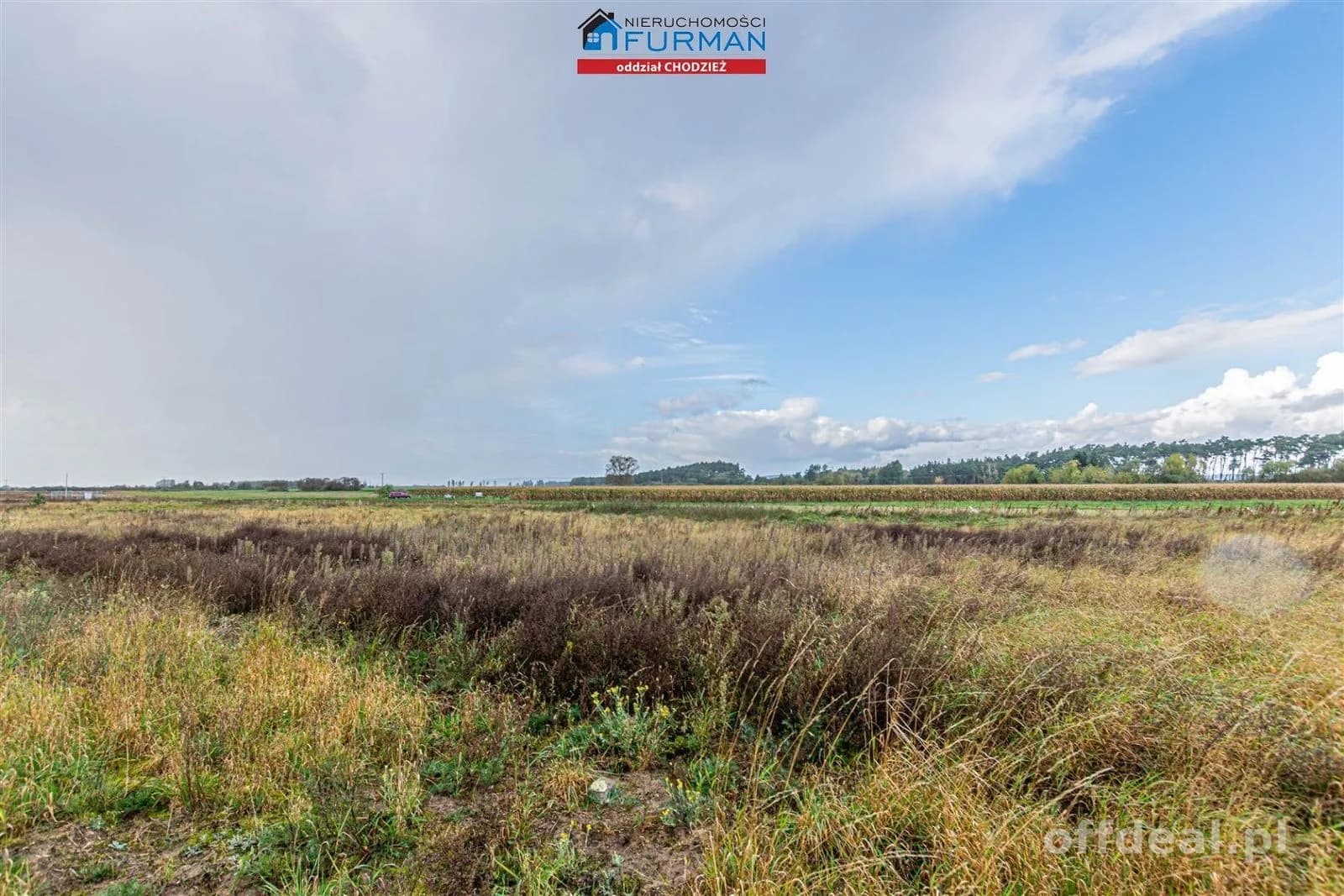 Zdjęcie 4: Działka, 894 m², Atanazyn