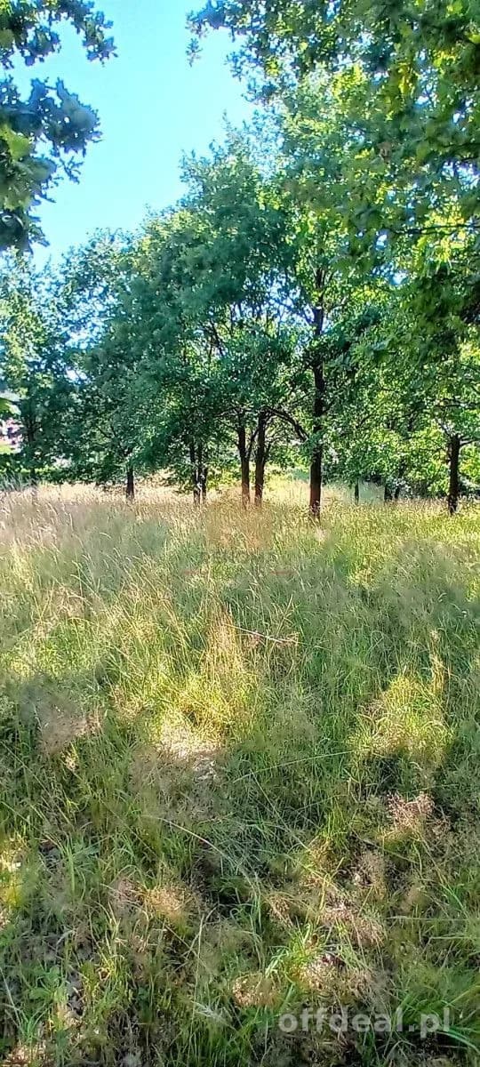 duża działka w centrum.