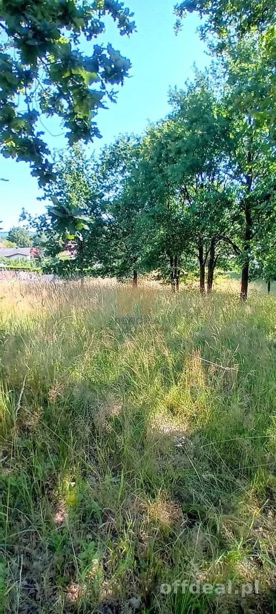 duża działka w centrum.