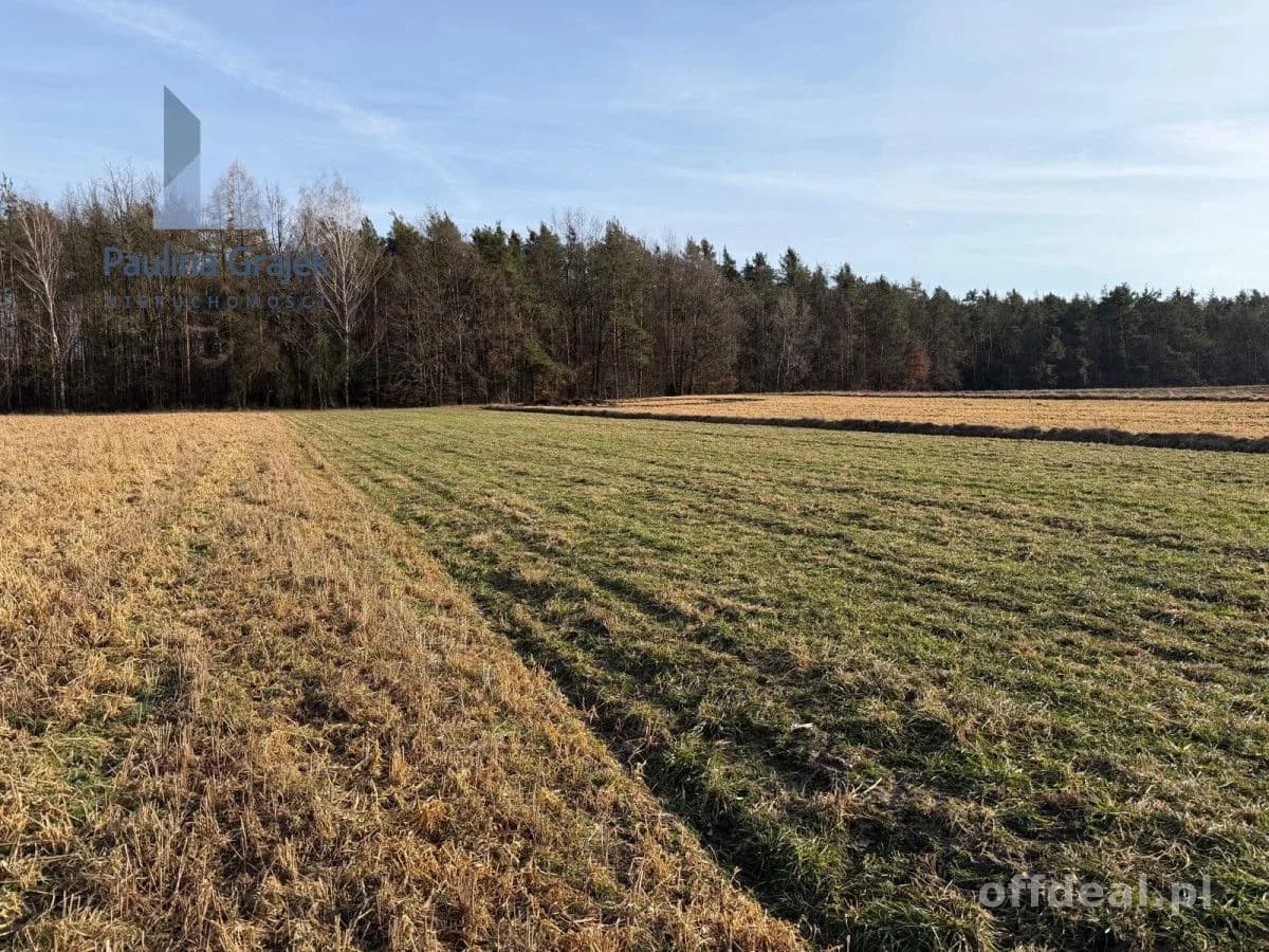 Фото 3: Ділянка, 3411 m², Wojciechów