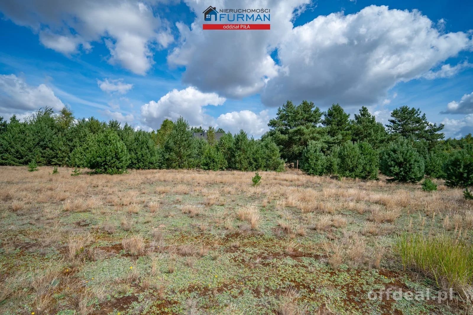 terrain à vendre à Kłoda | 1 859 m²